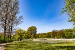 Bonn - Rheinauenpark
