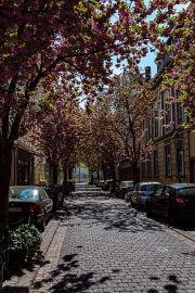 Bonn - Innenstadt zur Quarantänezeit