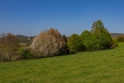 Bonn - Rodderberg