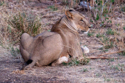 Kenya - Tsavo West