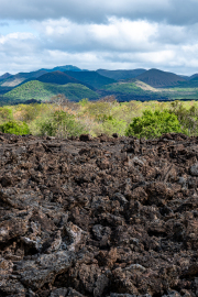 Kenya - Tsavo West - Shetani Lava Flow