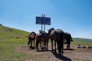Kyrgyzstan - Road to Song Kul