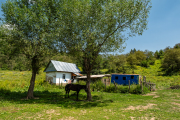 Kyrgyzstan - Sary Chelek