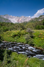 Kyrgyzstan - Sary Chelek