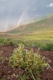 Kyrgyzstan - Chunkurchak