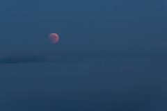 20180727-2153IM__0489 20180727-2153IM__0489