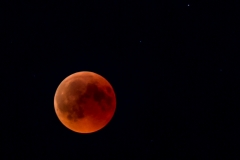 20180727-2240IM__0555 20180727-2240IM__0555