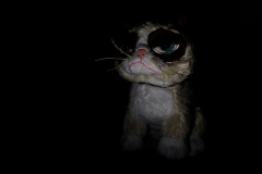 20180915-0919IM__0988