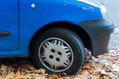 20181020-0730IM__1298 20181020-0730IM__1298