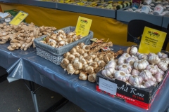 20181020-0743IM__1313 20181020-0743IM__1313