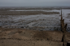 Nordsee - Schilling