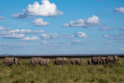Kenya - Amboseli National Park