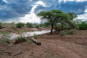 Kenya - Tsavo West