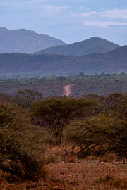 Kenya - Tsavo West