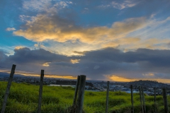 Auckland - Winstone Park