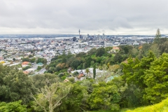 Auckland - Blick von Mount Eden auf die Skyline