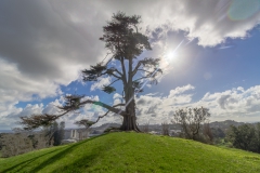 Auckland - Cornwall Park und One Tree Hill