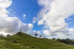 Auckland - Cornwall Park und One Tree Hill