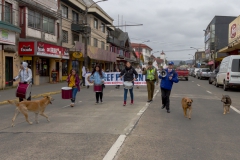 20161102-12-33-IMG_0574