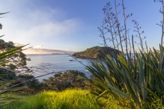 Neuseeland - Nordinsel - Ostküste - vor Goat Island