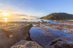Neuseeland - Nordinsel - Ostküste - vor Goat Island