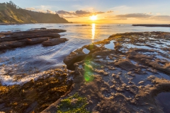 Neuseeland - Nordinsel - Ostküste - vor Goat Island