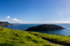 Neuseeland - Nordinsel - Ostküste - vor Goat Island