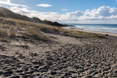 Neuseeland - Nordinsel - Ostküste - Ocean Beach