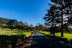 Neuseeland - Nordinsel - Ostküste - Twin Coast Highway
