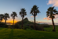 Neuseeland - Nordinsel - Ostküste - Treasure Island, Pataua