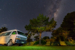 Neuseeland - Nordinsel - Ostküste - Treasure Island, Pataua