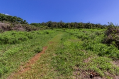 Osterinsel - Vulkan Rano Kau - es geht nach oben