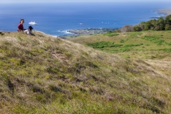 Der Rano Kau Vulkan - kurzzeitig hatten wir auch tierische Begleitung