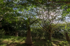 Durch den Wald war es ganz angenhem