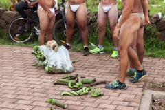 Vorbereitungen für ein Event des Tapati - es müssen wieder Bananen getragen werden