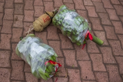 Vorbereitungen für ein Event des Tapati - es müssen wieder Bananen getragen werden - über der Schulter und dann links und rechts je eine