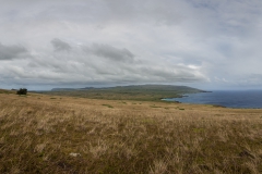 Osterinsel: am Vulkan Puakatike/Poike