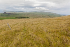 Osterinsel: am Vulkan Puakatike/Poike