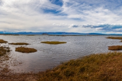 El Calafate: Laguna Nimez