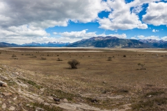 El Calafate: auf dem Weg zum Perito Moreno Gletscher