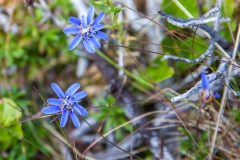 El Calafate: auf dem Weg zum Perito Moreno Gletscher