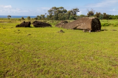 Rapa Nui - Moais beim Vullkan Rano Raraku