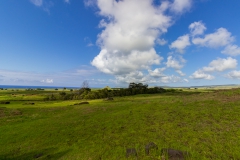 Rapa Nui - Moais beim Vullkan Rano Raraku