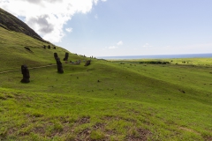 Rapa Nui - Moais beim Vullkan Rano Raraku