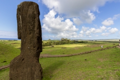 Rapa Nui - Moais beim Vullkan Rano Raraku