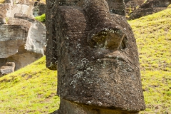 Rapa Nui - Moais beim Vullkan Rano Raraku