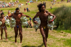 Tapati Rapa Nui - "Triathlon" am Rano Raraku - zweite Diziplin: Bananenstaude um den See tragen