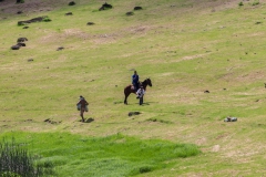 Tapati Rapa Nui - "Triathlon" am Rano Raraku - zweite Diziplin: Bananenstaude um den See tragen