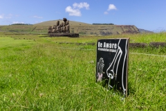 Nicht die Moais hauen!