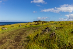 Osterinsel - entlang der Westküste